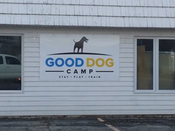 Good Dog Camp In Rochester Painting Portfolio - Pj'S Painting, Llc